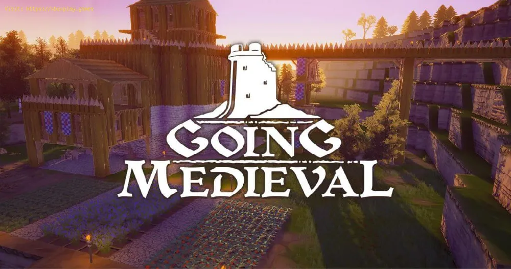 Going Medieval: How to Fix Unity 2020.2.1f1_270dd8c3da1c error