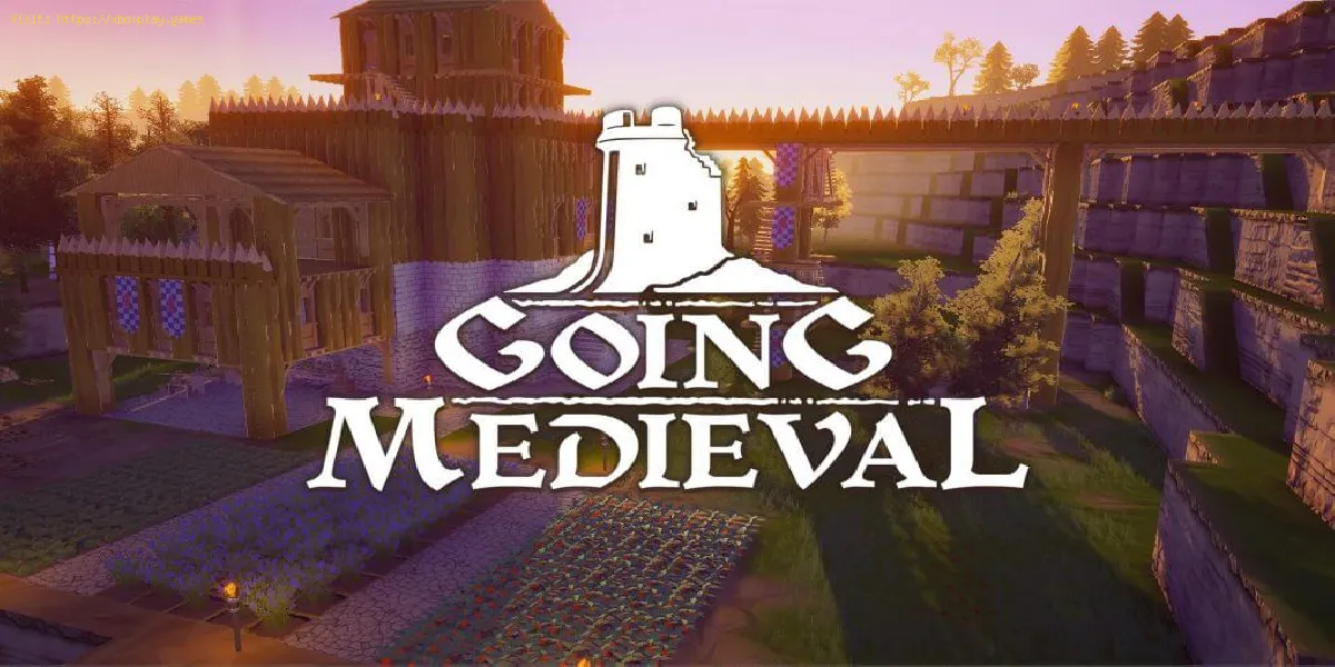 Going Medieval: So beheben Sie den Unity-Fehler 2020.2.1f1_270dd8c3da1c