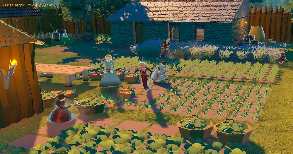 Going Medieval: How To Farm food