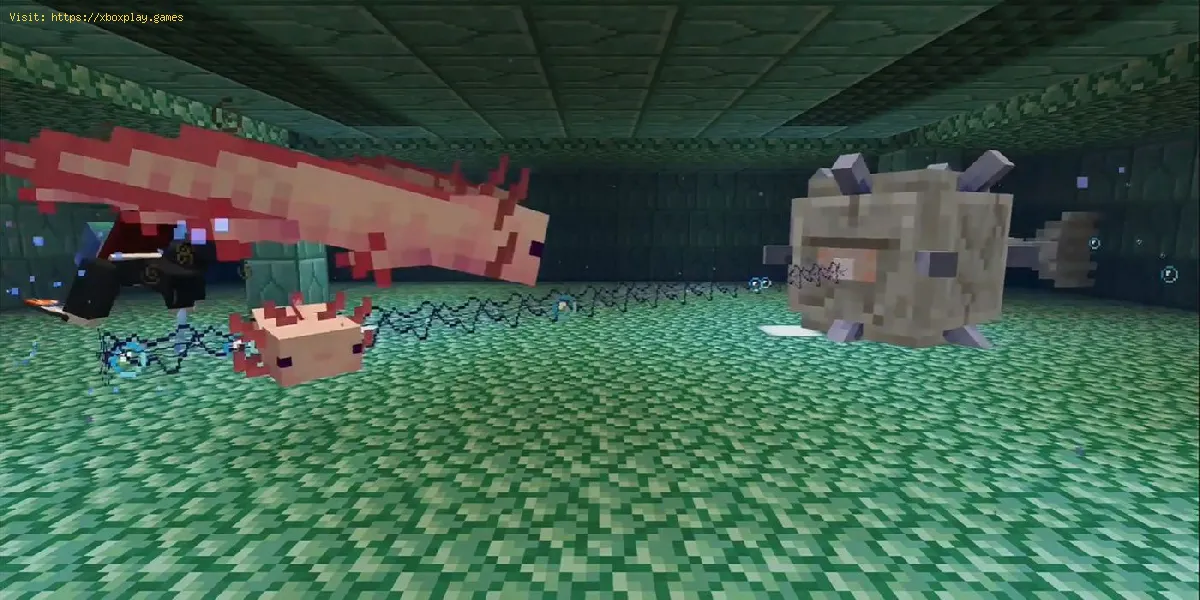 Minecraft: So finden Sie Axolotl