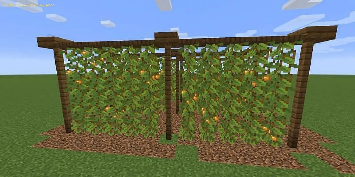 Minecraft: Wie man leuchtende Beeren anbaut