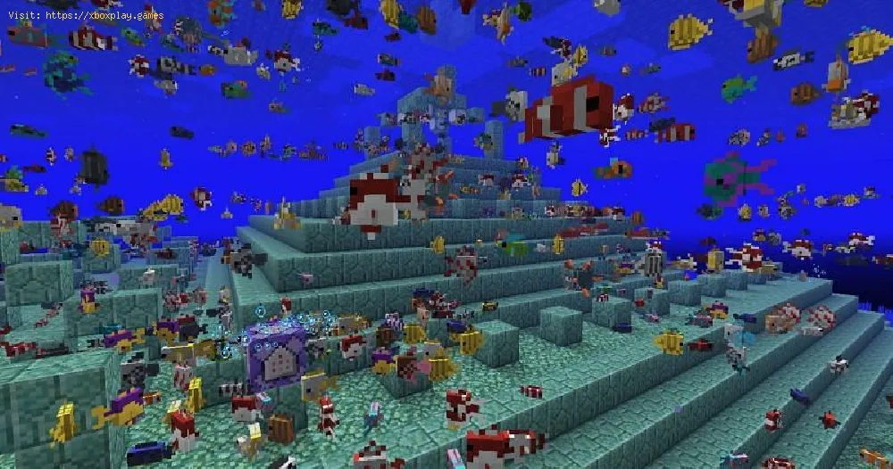 Minecraft: 熱帯魚の探し方