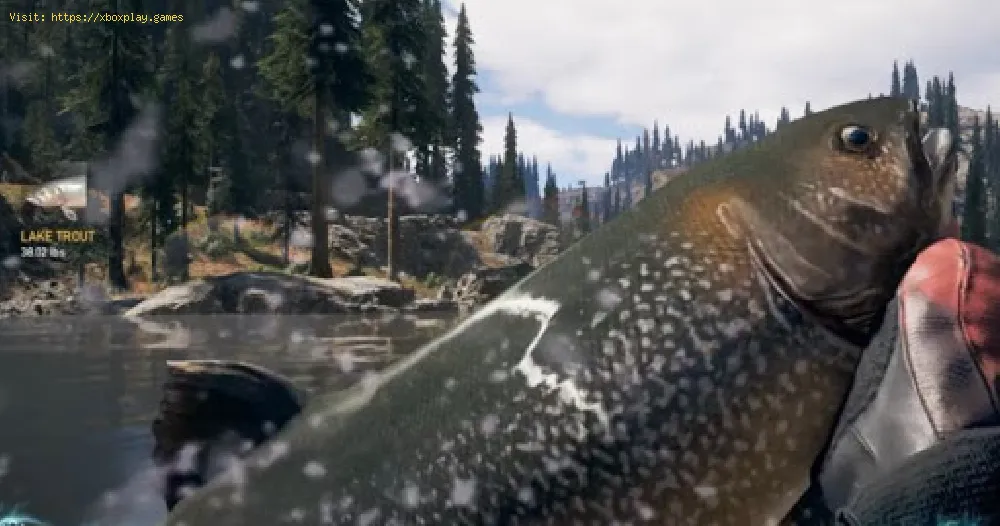 Far Cry 5釣り記録：釣り記録を打ち負かす方法