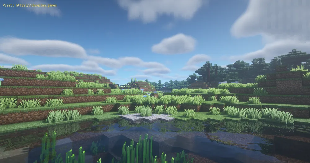 Minecraft: How To Install BSL Shaders