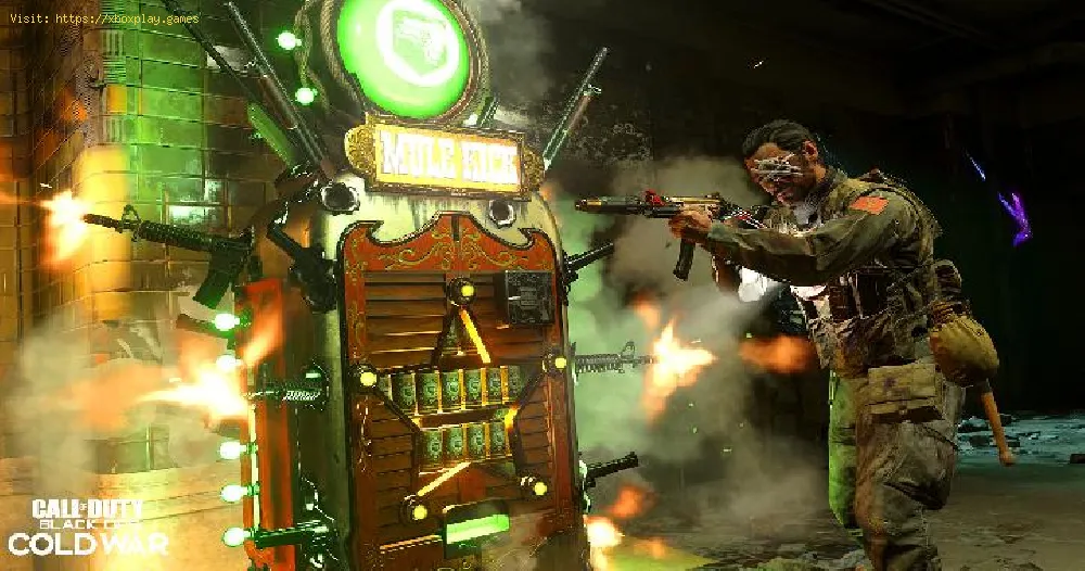 Call of Duty Black Ops Cold War: Is the mule kick good in Zombies?
