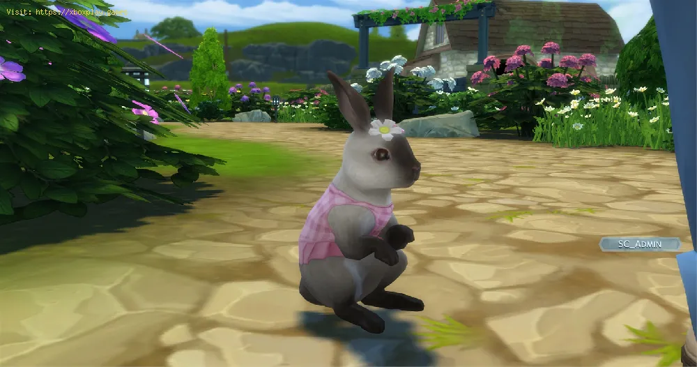 The Sims 4 : How to get wild rabbits and birds