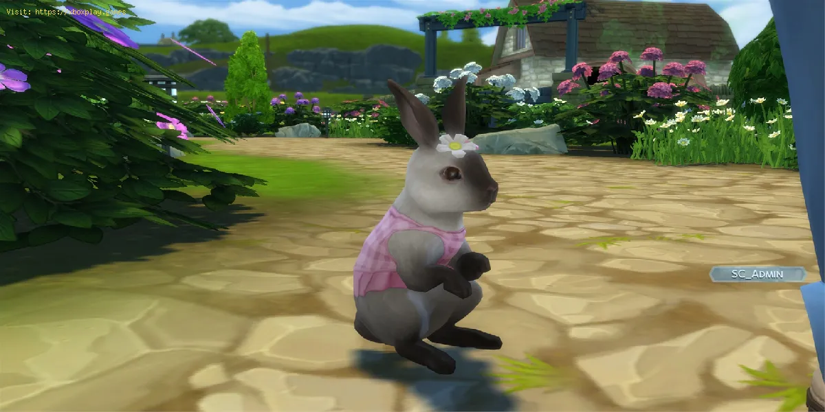 The Sims 4: Como obter coelhos e pássaros selvagens