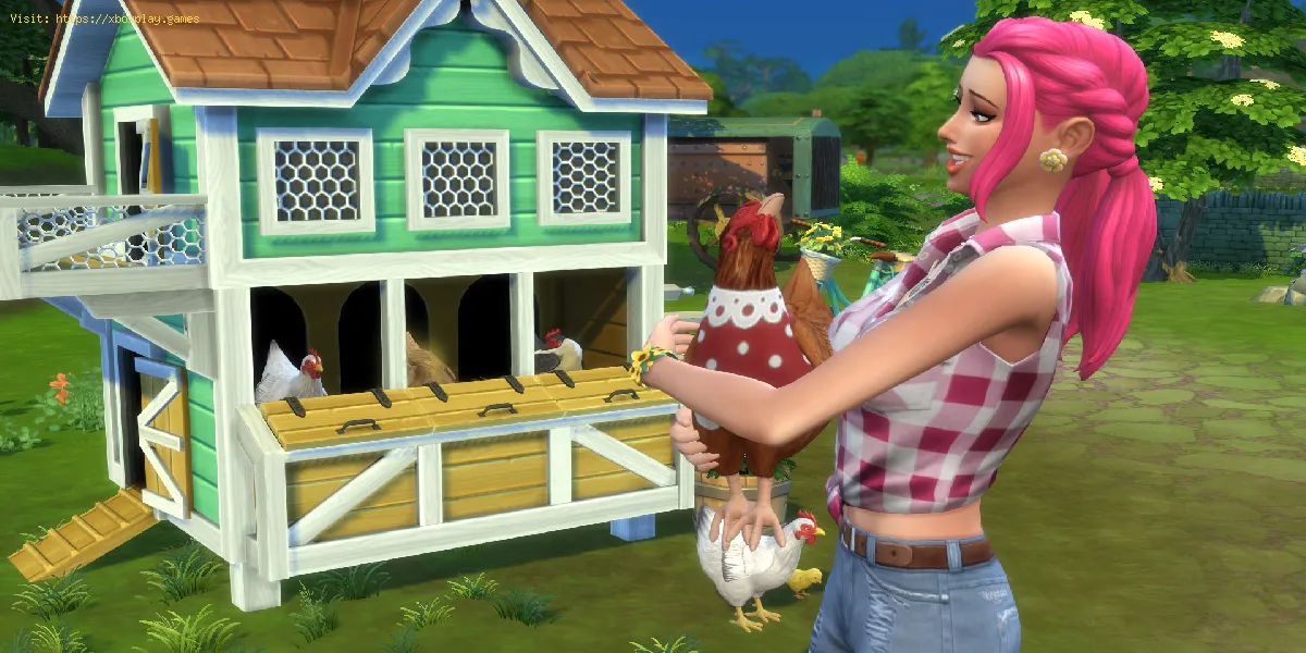 the Sims 4: Como limpar o galinheiro