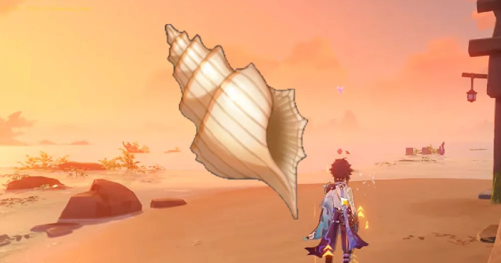 Genshin Impact: Where to Find Takashi Mysterious Conchs