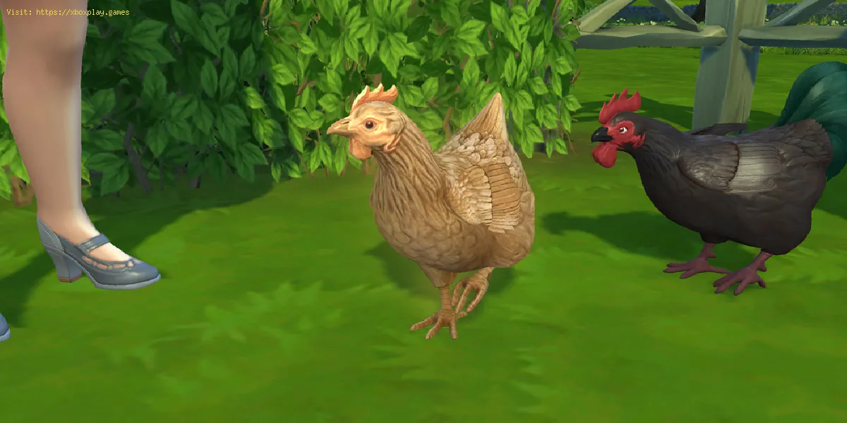 The Sims 4 : Réparer le poulet manquant après le festival