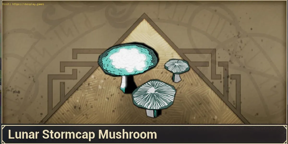 tribus of midgard: Como obter feixes lunares de cogumelo