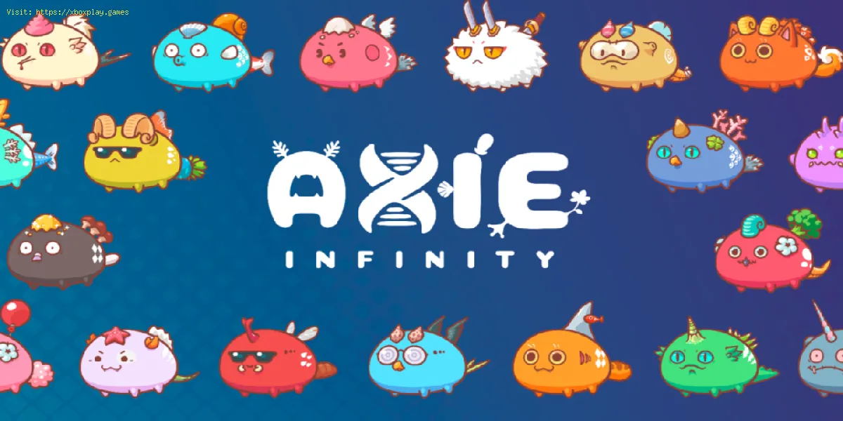 Axie Infinity: come controllare lo stato del server