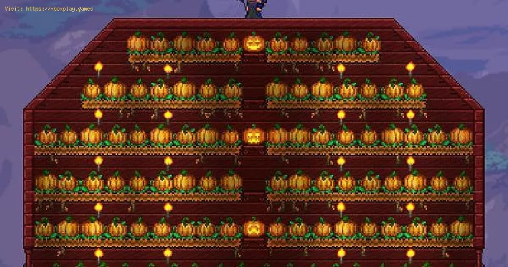 Terraria: How to Get Pumpkins