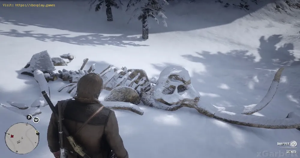 Red Dead Redemption 2: Where to Find Mammoth