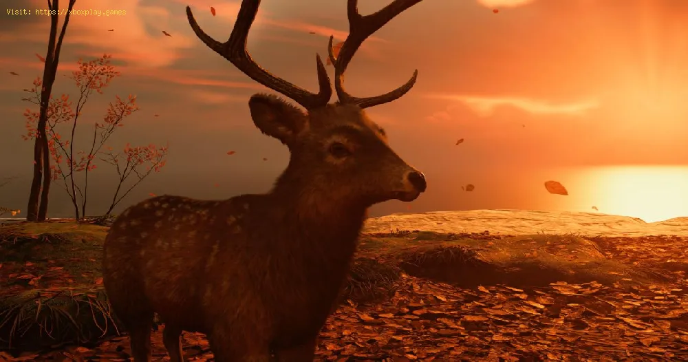 Ghost of Tsushima: Where to Find All Deer Sanctuary