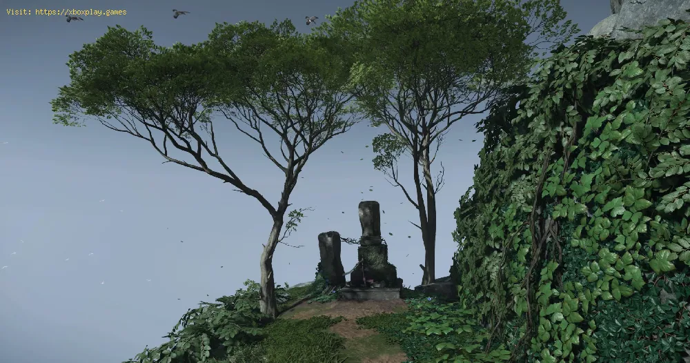 Ghost of Tsushima：壱岐島の名誉の柱全体を見つける場所