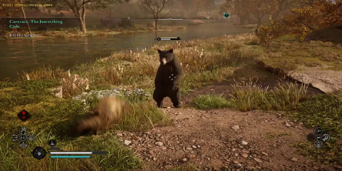 Assassin's Creed Valhalla: onde encontrar o urso preto