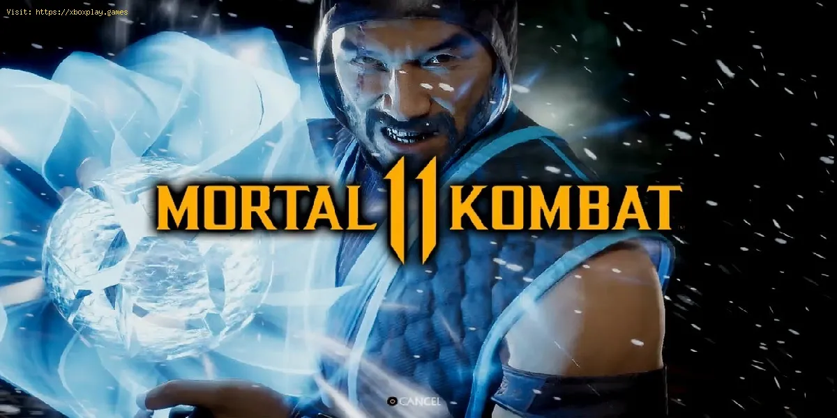 Mortal Kombat 11: So erhalten Sie die maskenlose Sub-Zero-Variante