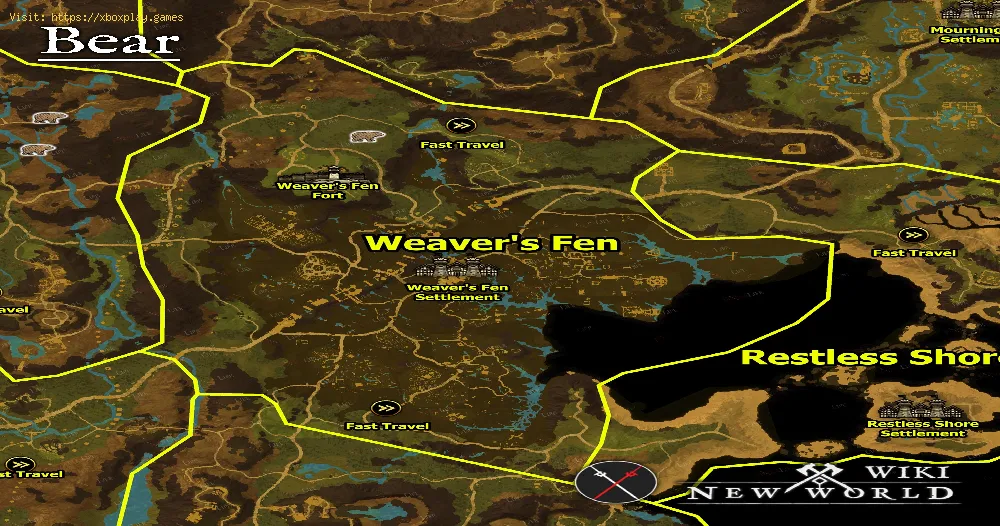 New World: Where to Find Ancient Bear Paws