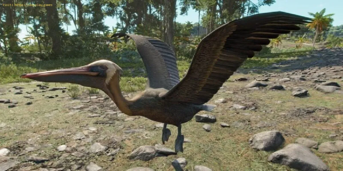 Far Cry 6: Onde encontrar pelicanos