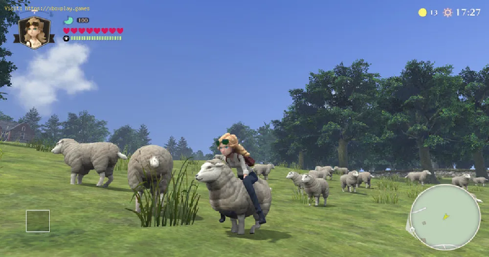The Good Life: How to ride sheep - Tips and tricks