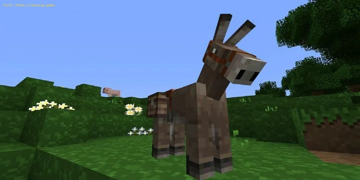 Minecraft: Wie man einen Esel zähmt