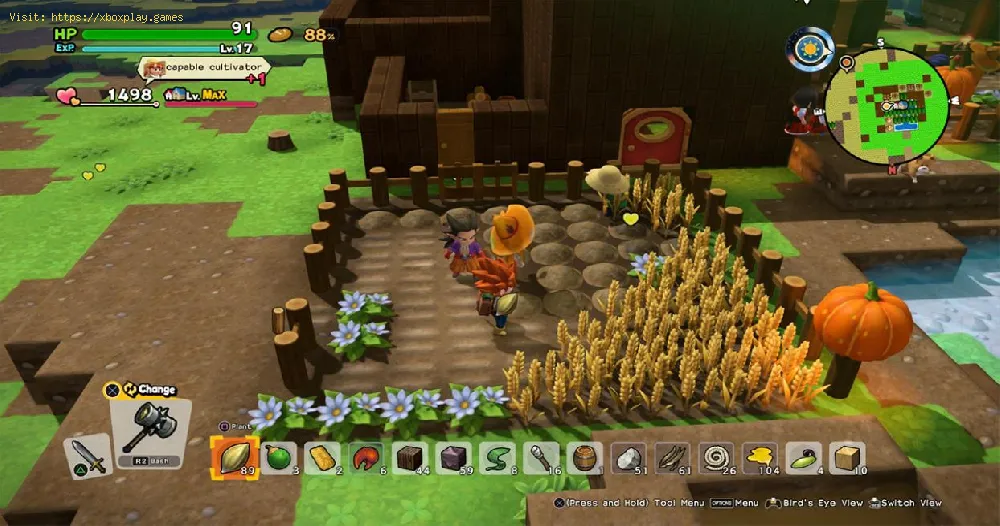 Dragon Quest Builders 2- How To Find The Grass Seed