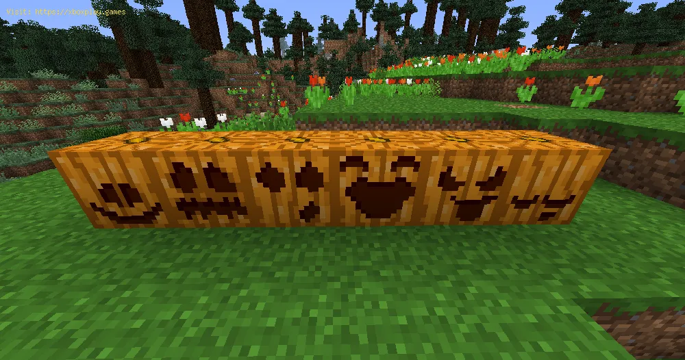 Minecraft: How to Carve a Pumpkin - tips and tricks