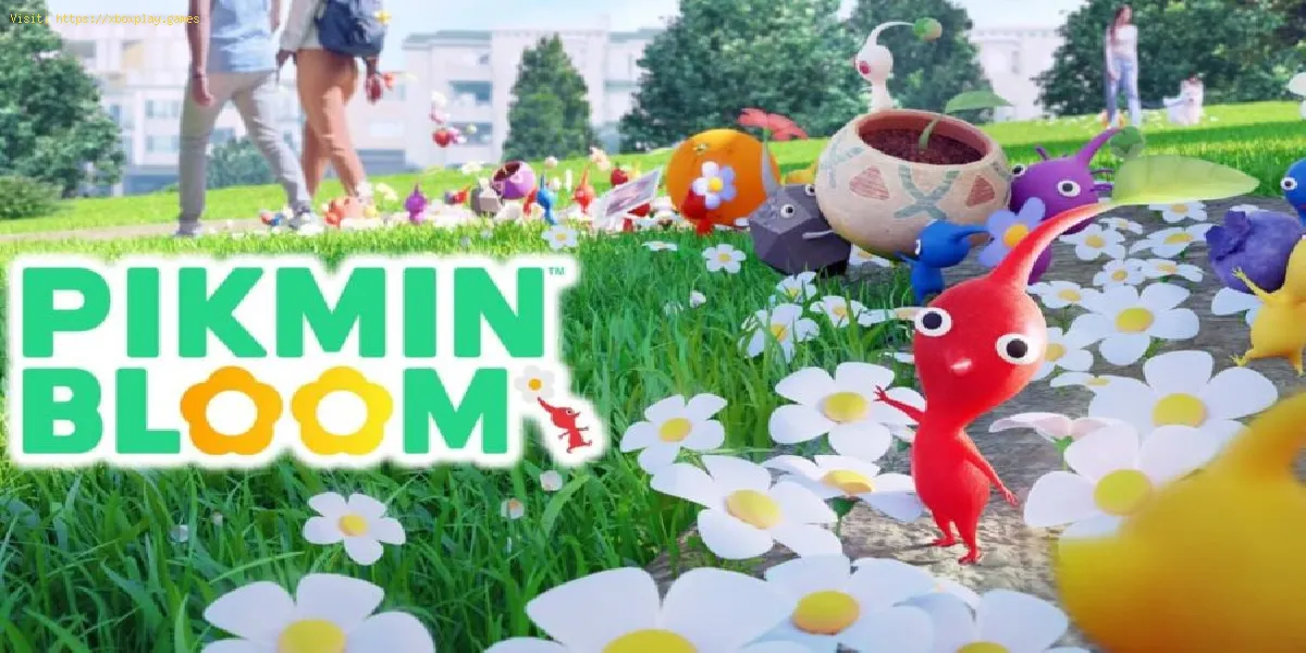 Pikmin Bloom : Comment faire une exposition