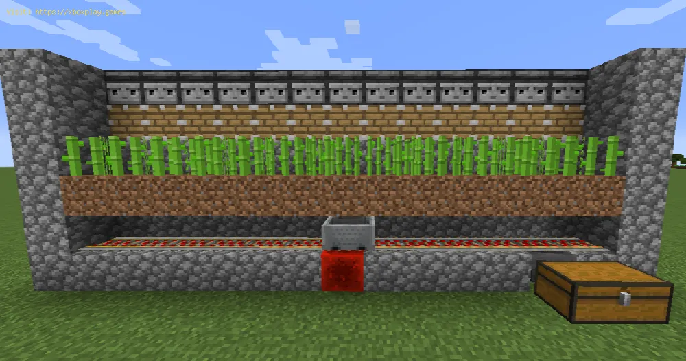 Minecraft: How to make an automatic sugar cane farm