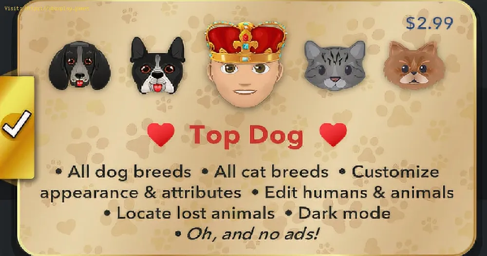 DogLife: Does Bitizen carry over