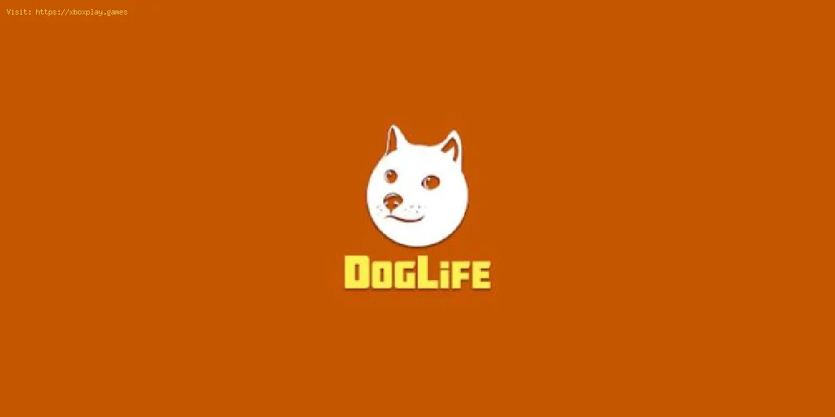 DogLife: Como usar a máquina do tempo
