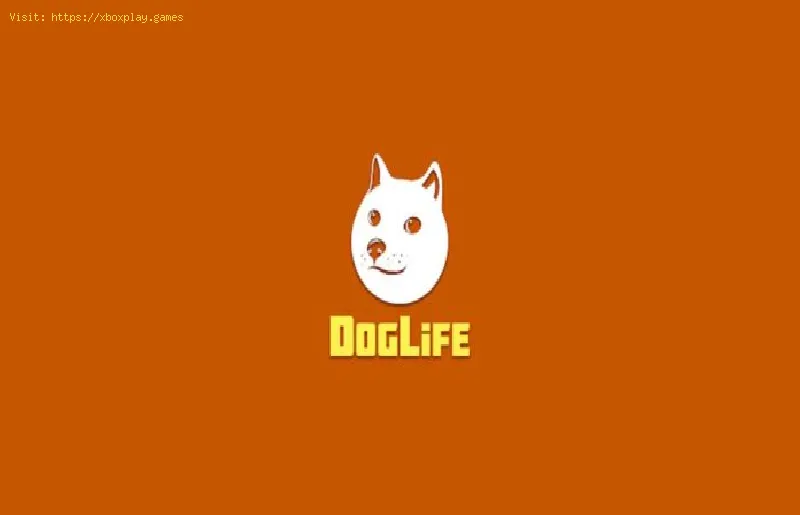 DogLife: Quanto tempo você consegue viver?