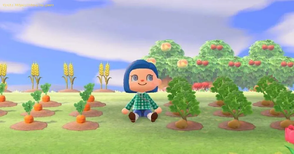Animal Crossing New Horizons: How to Get Wheat