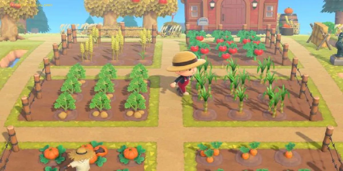 Animal Crossing New Horizons: Como cultivar cana-de-açúcar
