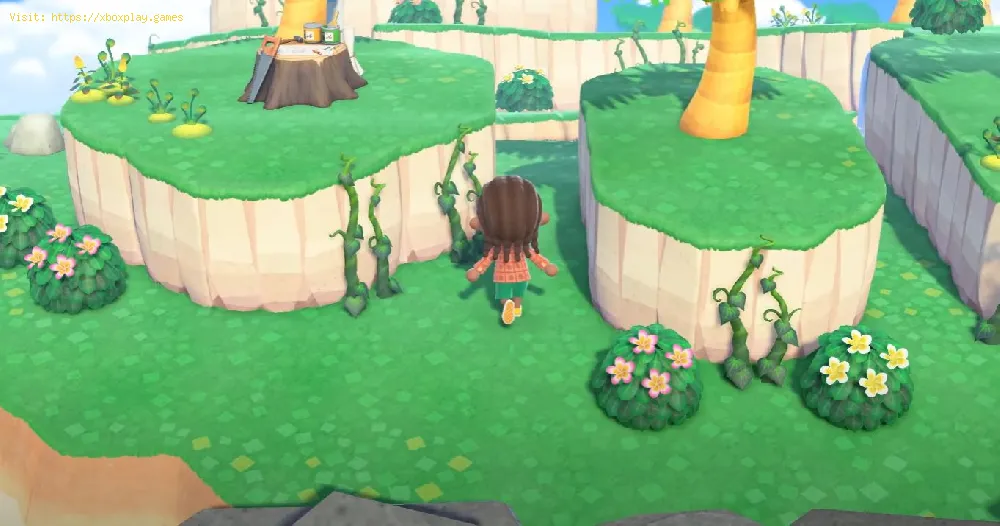 Animal Crossing New Horizons: How to get Vines