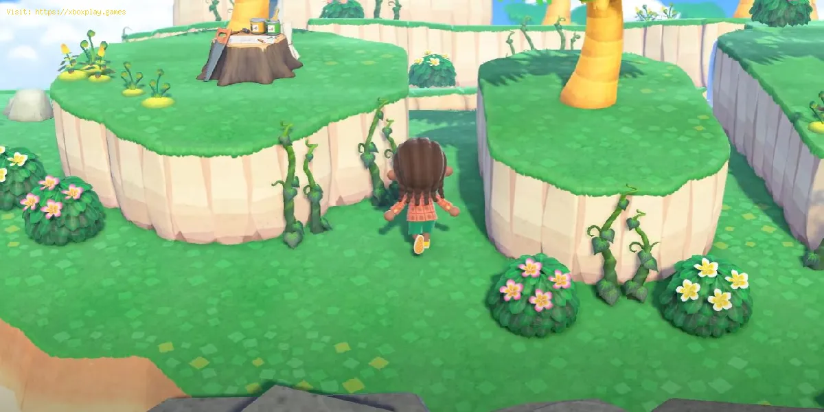 Animal Crossing New Horizons: Como obter videiras