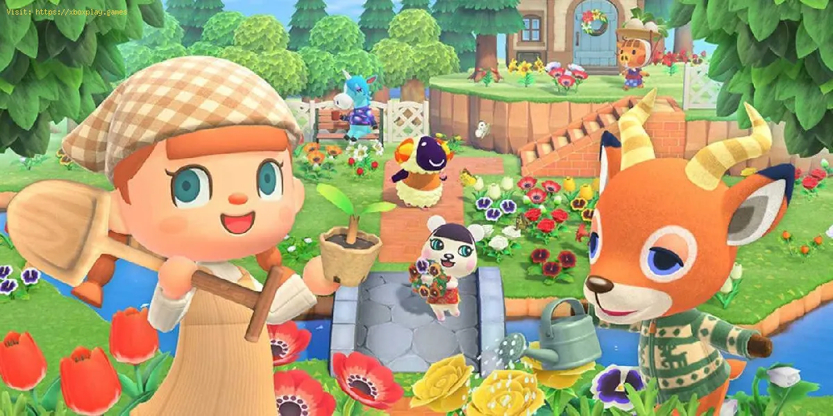 Animal Crossing New Horizons: So erhalten Sie die Happy Home Network App