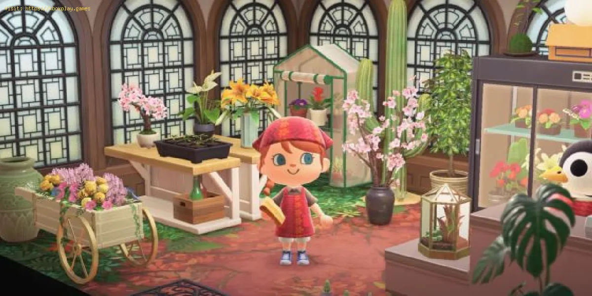 Animal Crossing New Horizons: Wie man Möbel poliert
