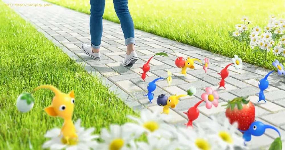 Pikmin Bloom: How to Fix Error ‘Low network connectivity’