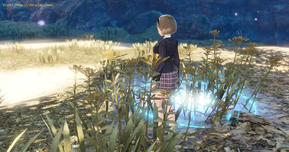 Blue Reflection Second Light: Where to find the eggs