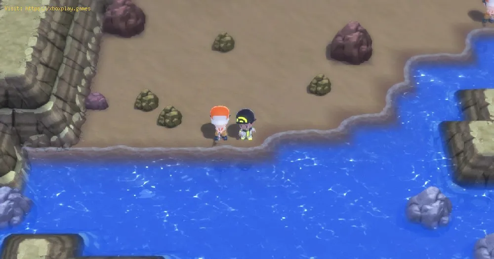Pokémon BDSP: How to find Water Stones
