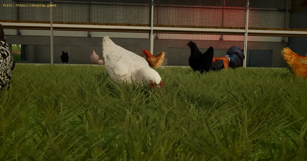 Farming Simulator 22: How to farm chickens