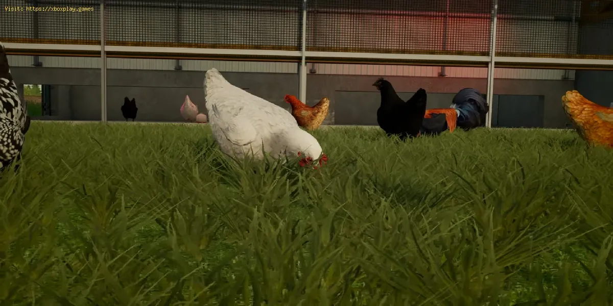 Farming Simulator 22 : Comment élever des poulets