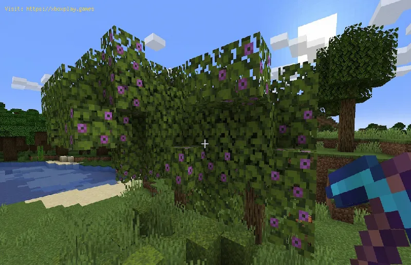 Minecraft 1.18: Como encontrar árvores de azaléia