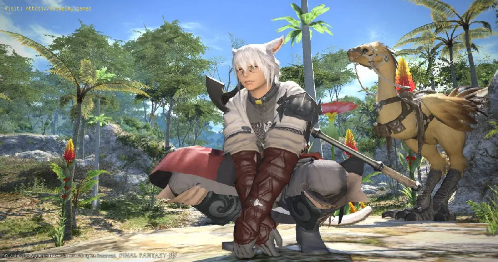Final Fantasy XIV: How to Fix ‘Connection with the server was lost’