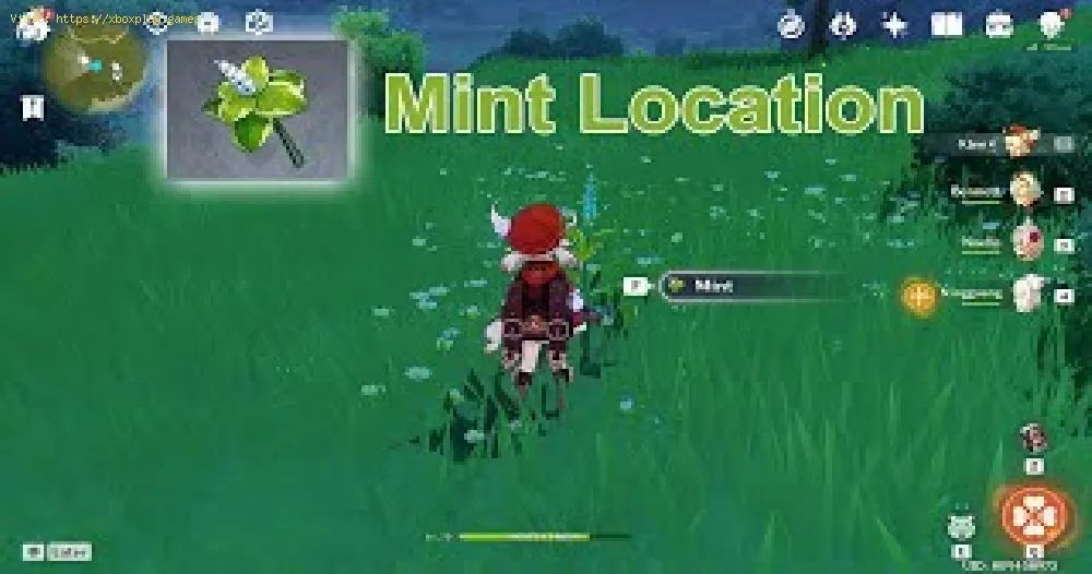 Genshin Impact: Where to find Mint
