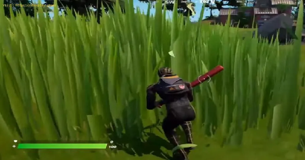 Fortnite: Where to Find Tall Grass in Chapter 3