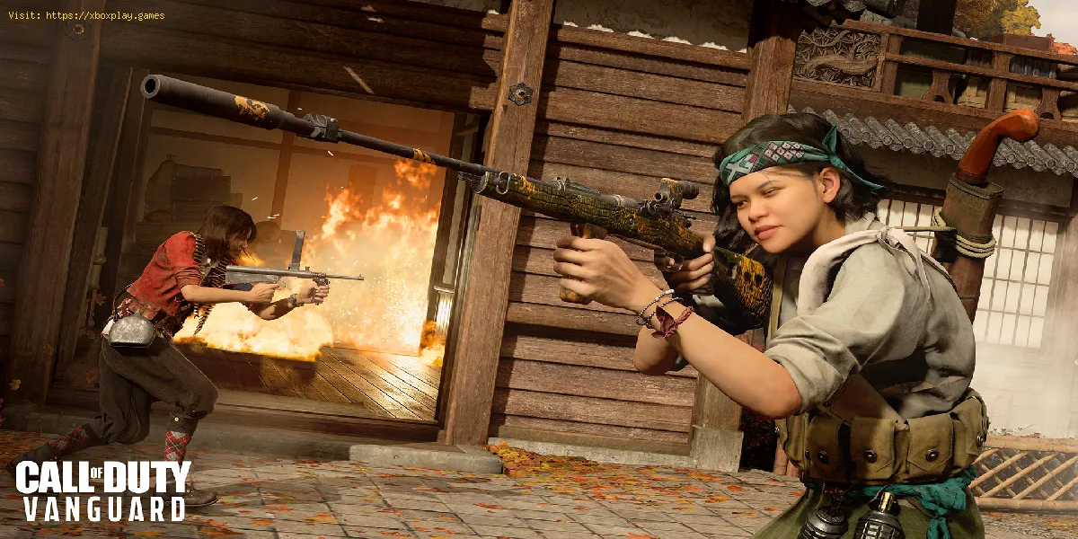 Call of Duty Vanguard - Warzone: Wie man Isabella bekommt