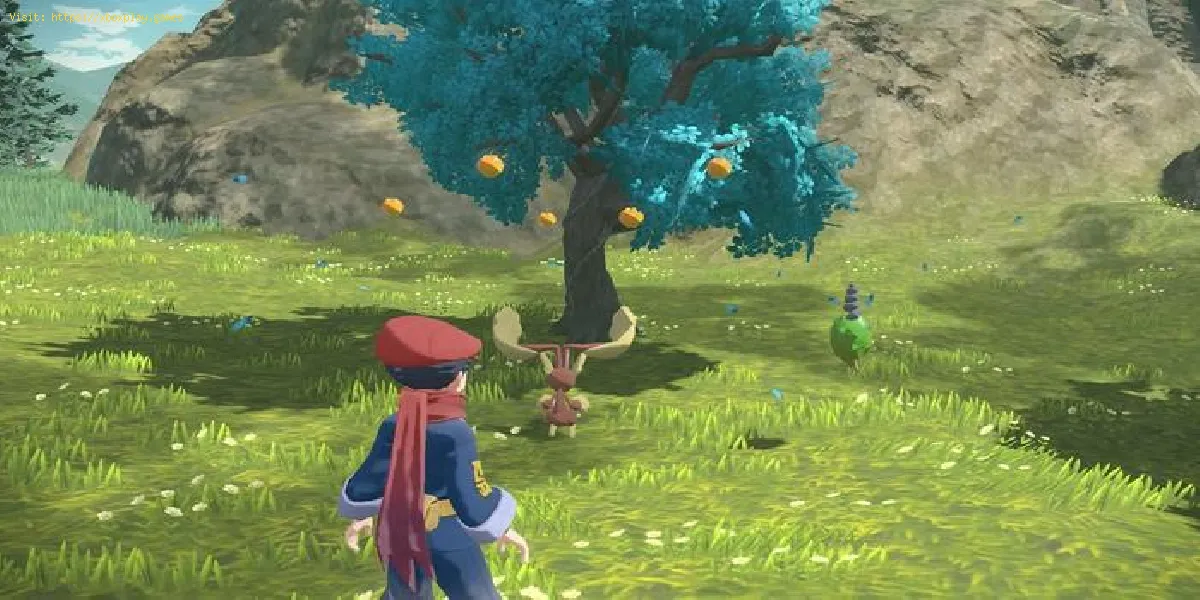 Pokemon Legends Arceus : où trouver l'Apricorne